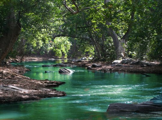 body-of-water-between-green-leaf-trees-709552