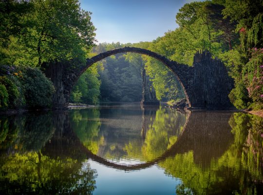 gray-bridge-and-trees-814499