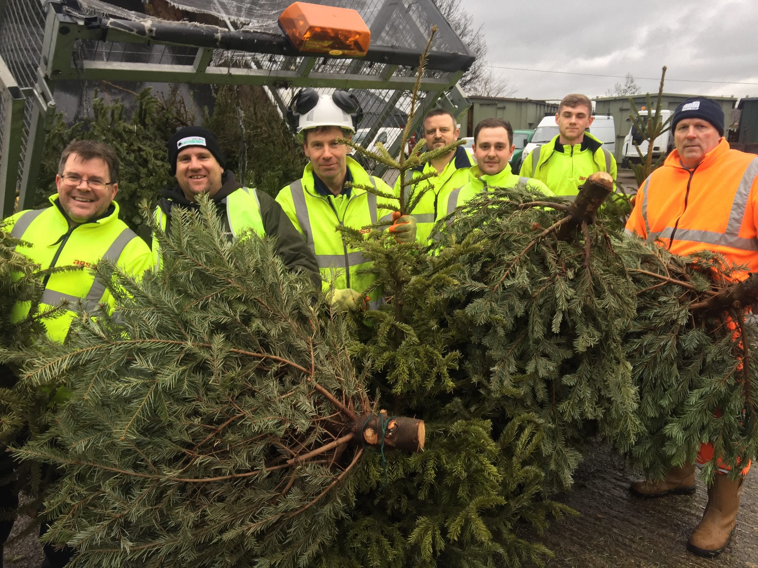 Christmas Tree Collection Hopes For A Bumper year