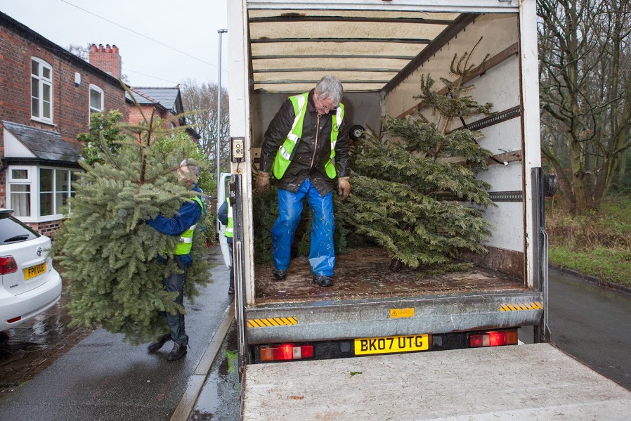 Christmas Tree Collection Postponed