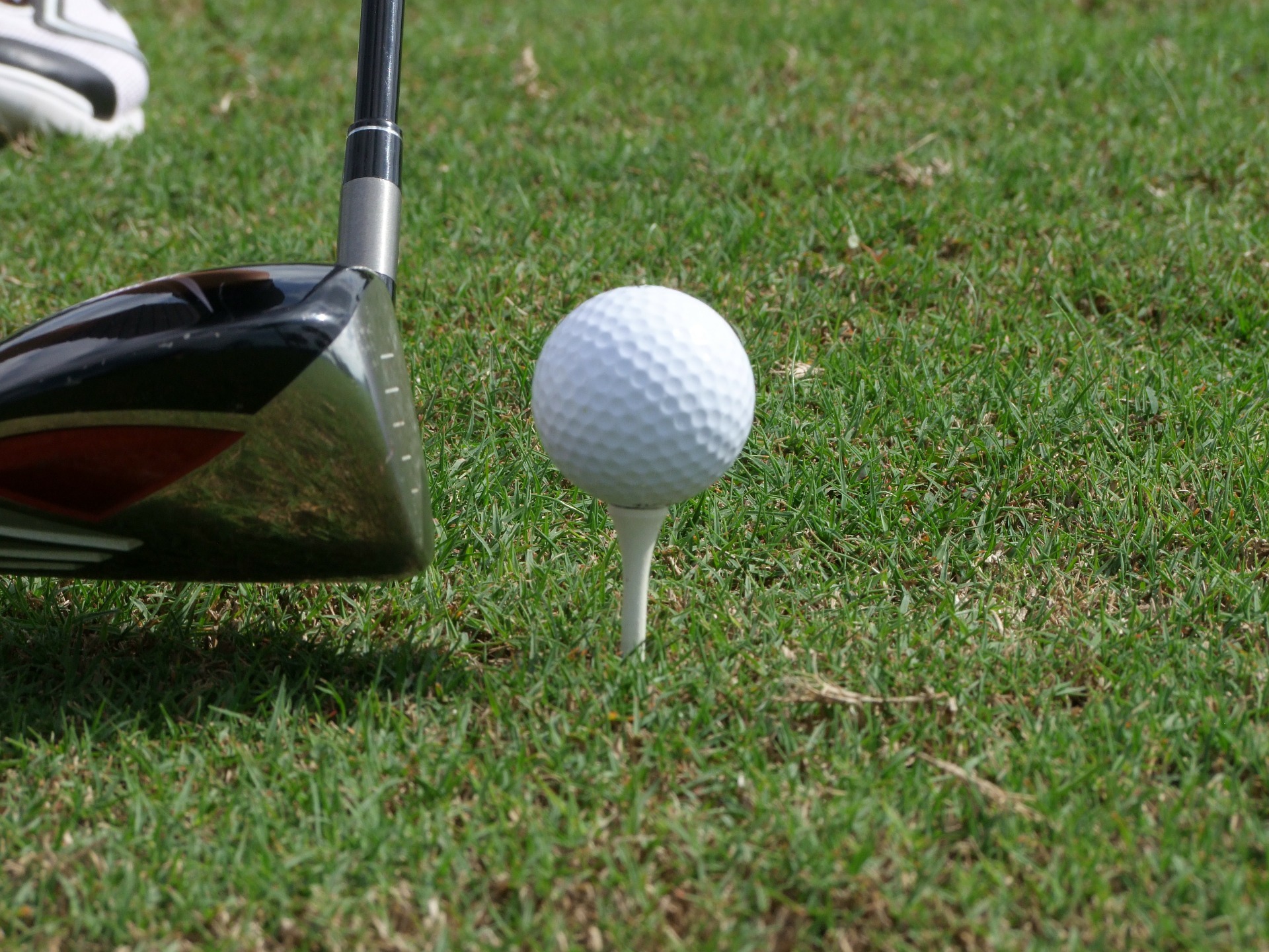 East Cheshire Hospice – Prestbury Golf Day 2025