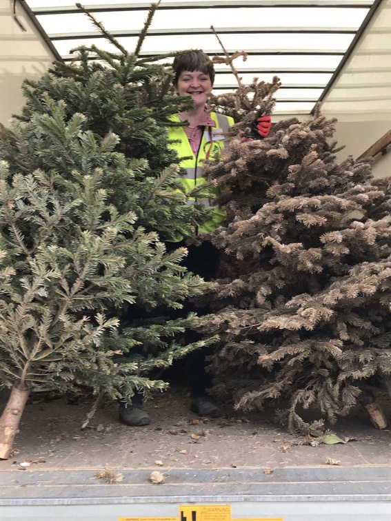 2021 Christmas Tree Collection Total