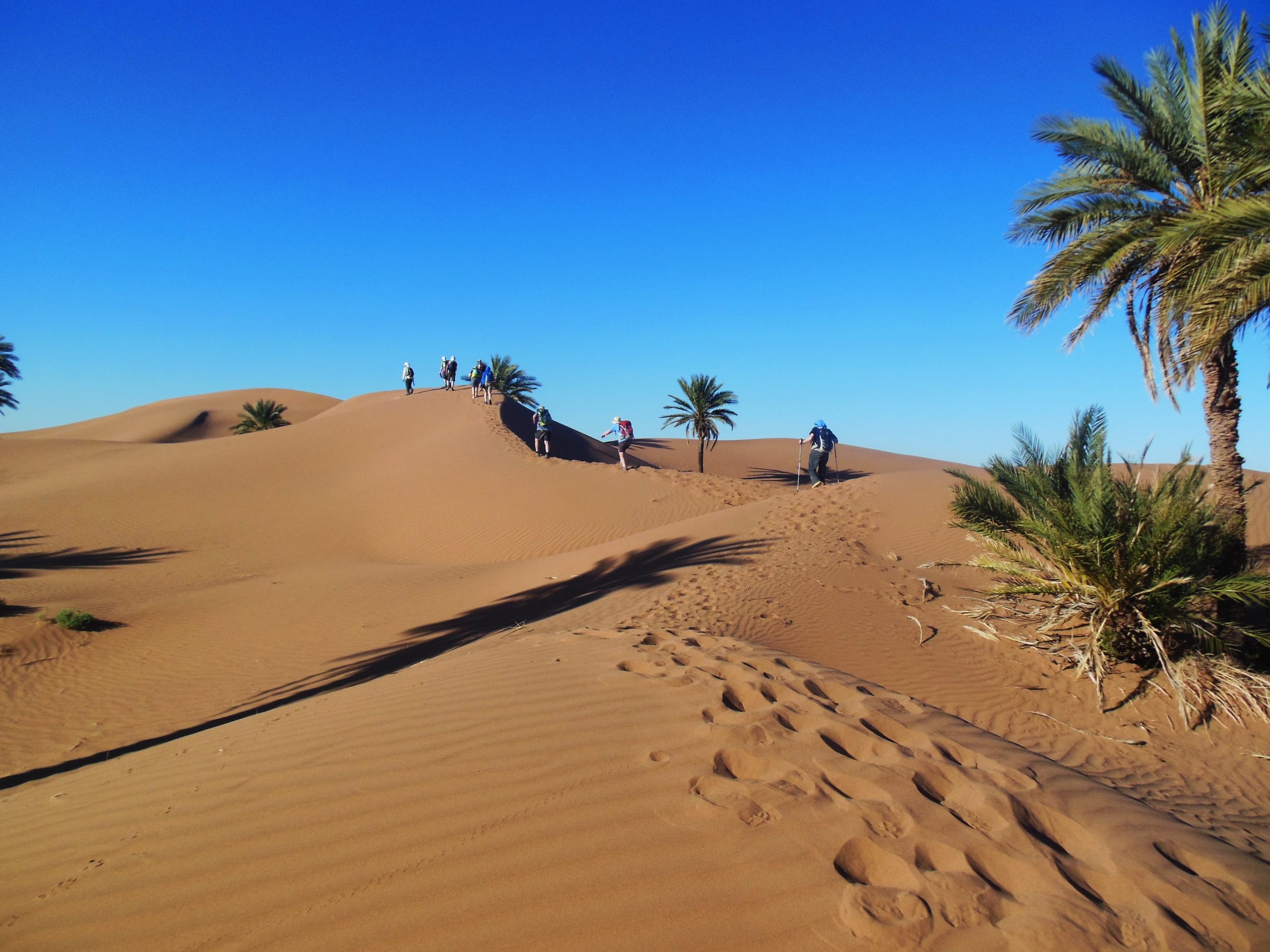 Sahara Trek Postponed