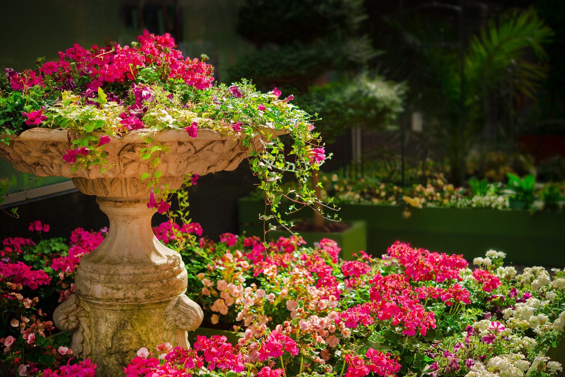Lynn House Farm Open Garden