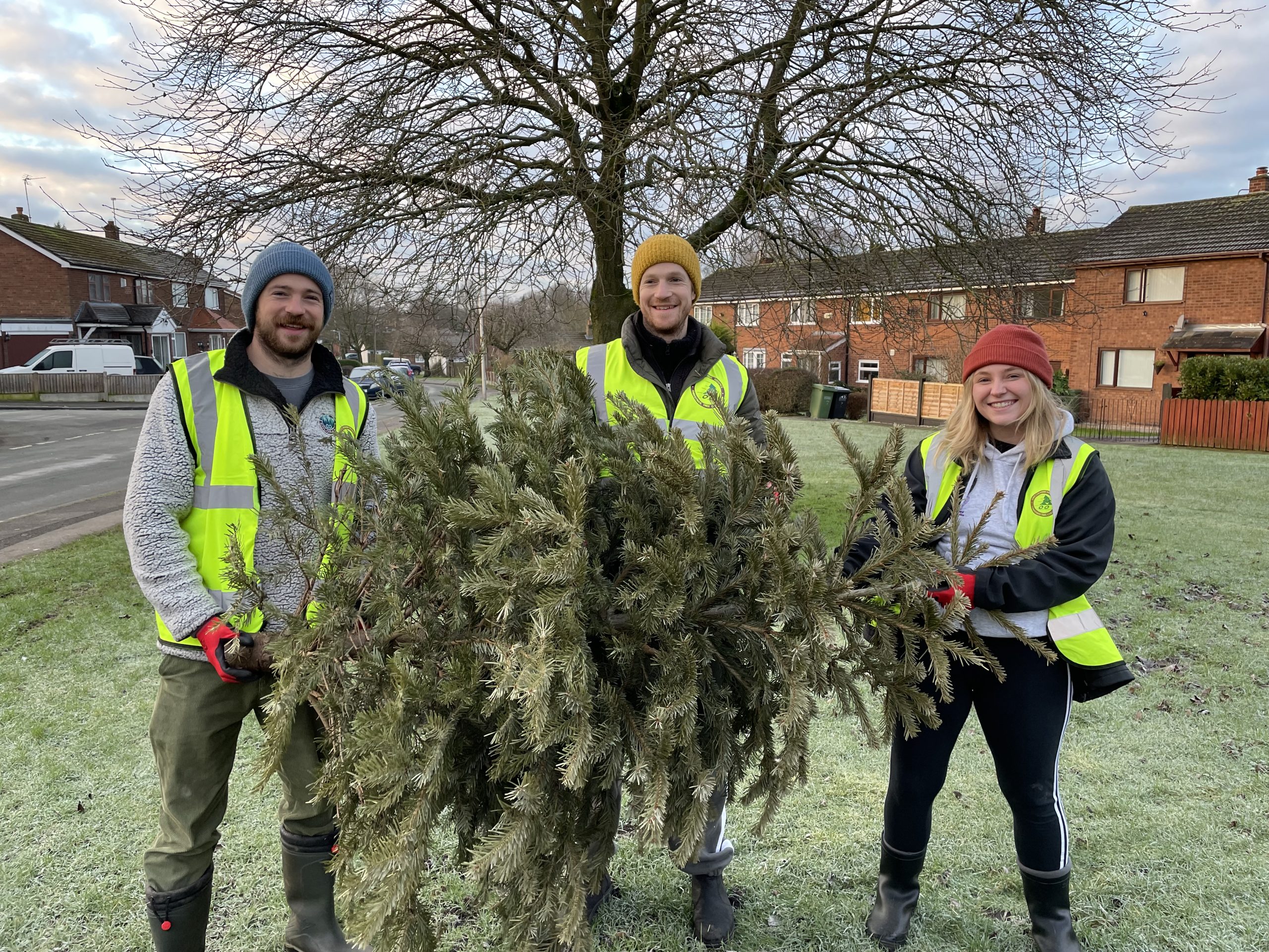 Christmas Tree Collection January 2023