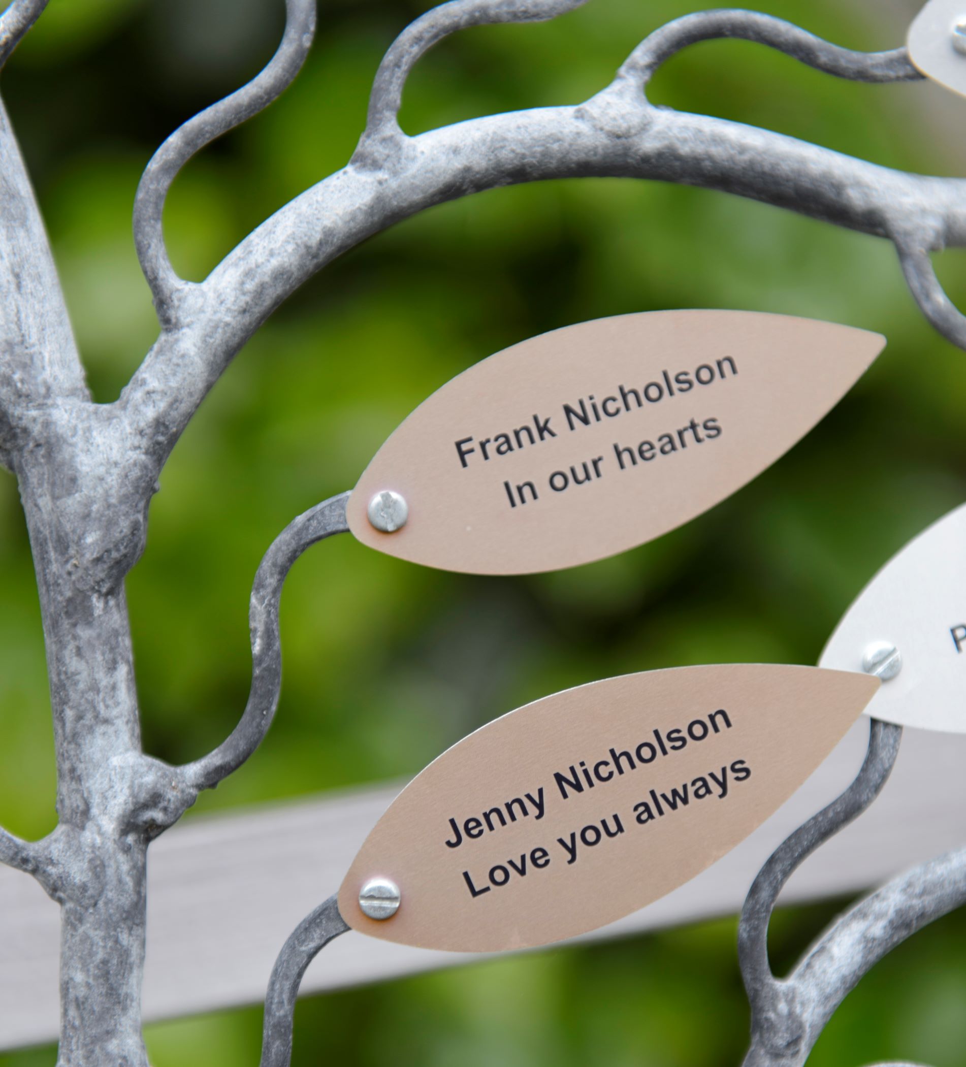 Memory Tree launches at East Cheshire Hospice