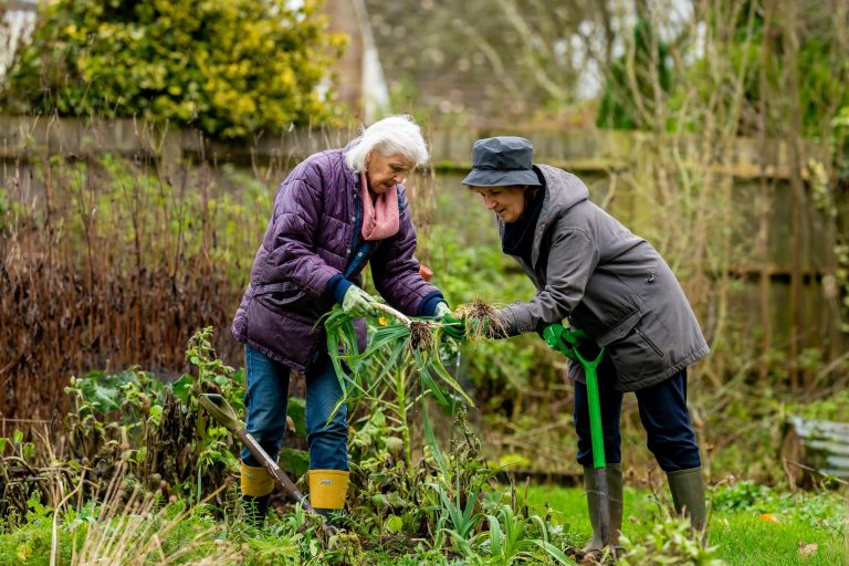 2. pexels-centre-for-ageing-better-7849457