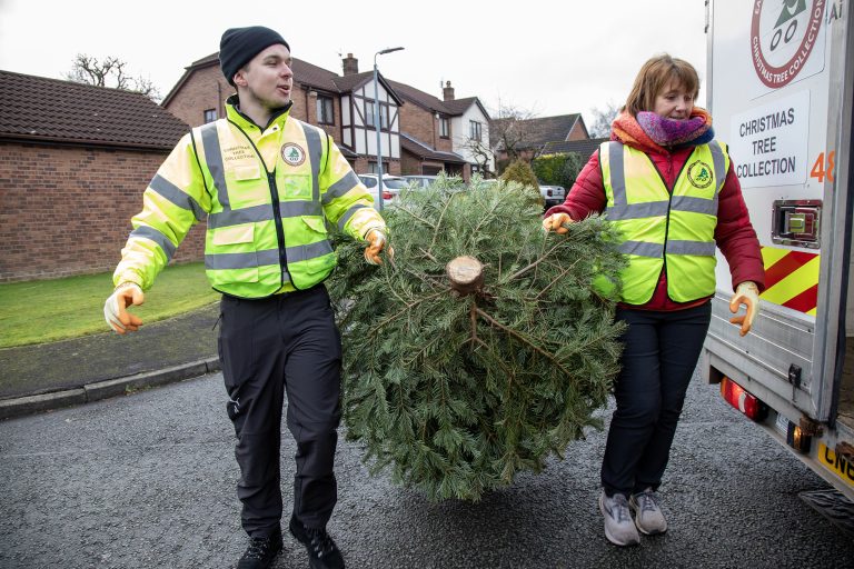 Two people wearing high vis jackets are carrying a Christmas Tree from the tree collection fundraising event