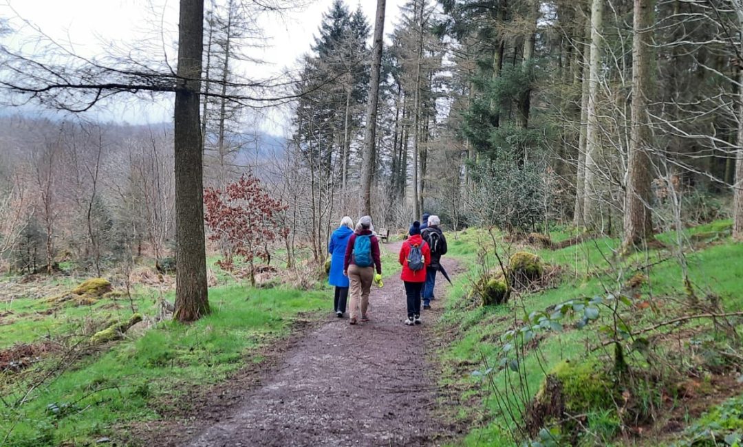 Forest-Therapy-Group-Pic-1
