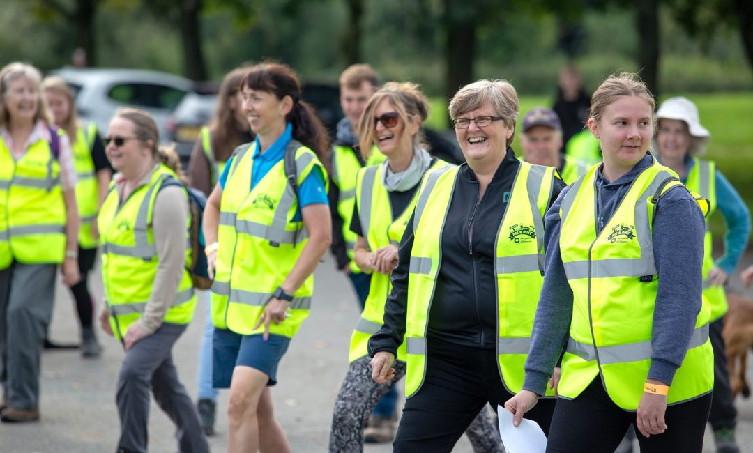 Group of people in high vis vests walking.