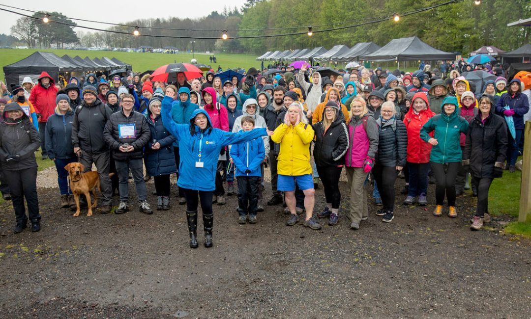 Starlight-Walk-2023-Pic-1