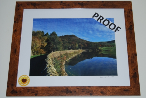 Tegsnose-Reflections