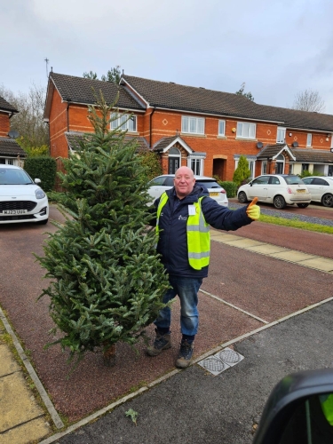 Christmas Tree Collection 2024