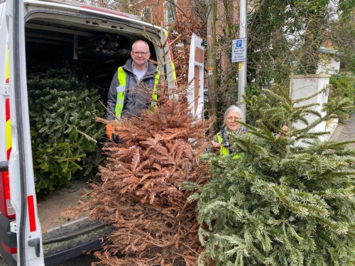 Christmas Tree Collection 2024