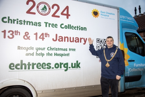 Christmas Tree Collection 2024
