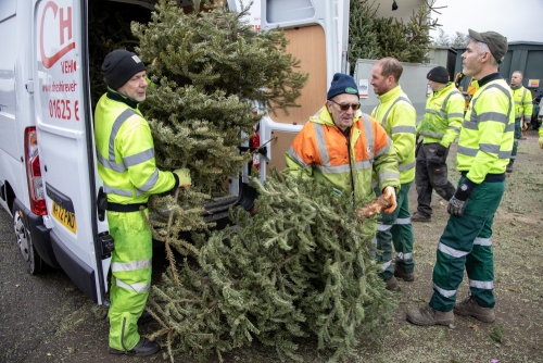 Christmas Tree Collection 2024