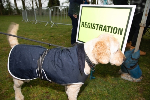 Starlight walk 2024 066